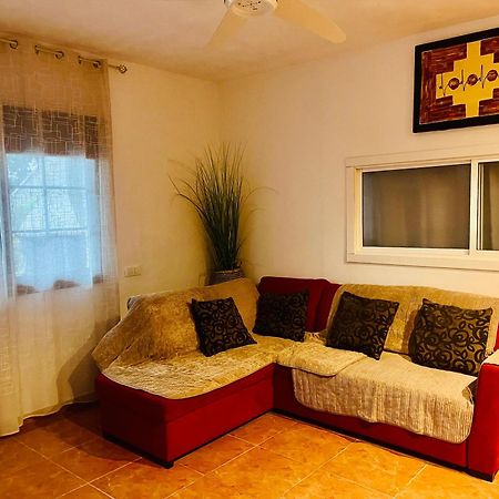 イコー・デ・ロス・ビノス Pintadera'S House/Espiralヴィラ エクステリア 写真